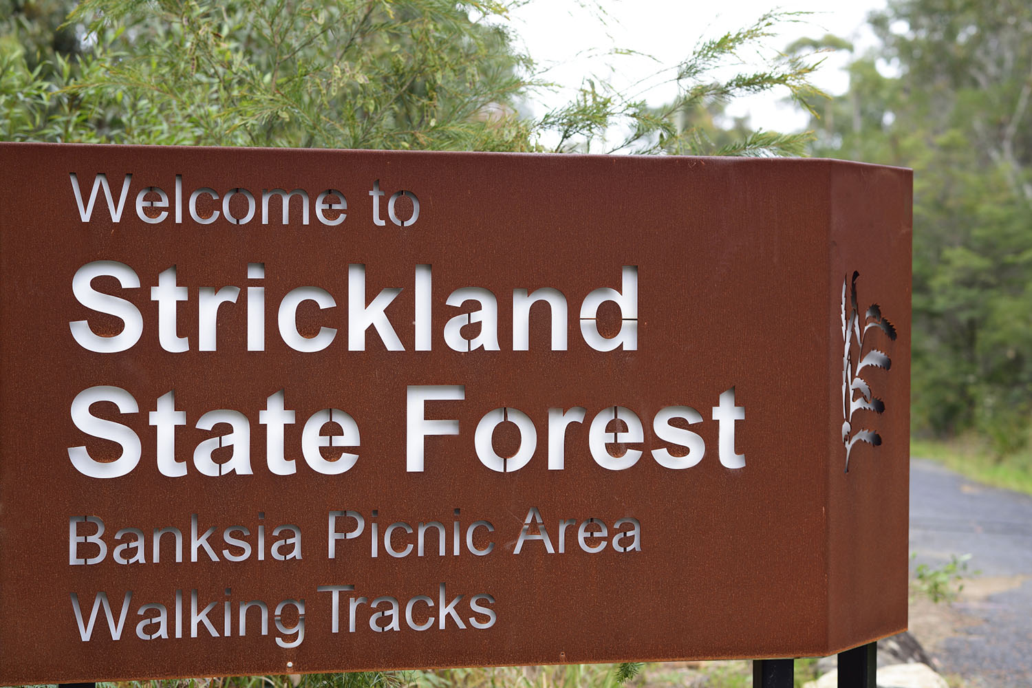 Entrance Sign for Strickland State Forest Park NSW