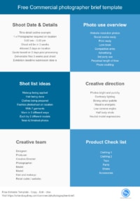 Free Commercial photographer brief template Infographic