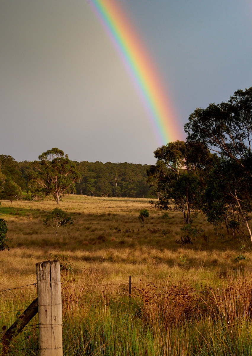 Rainbow over green natural grass lands